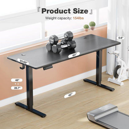 Premium Ergonomic Office Setup