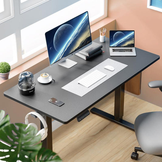 Premium Ergonomic Office Setup